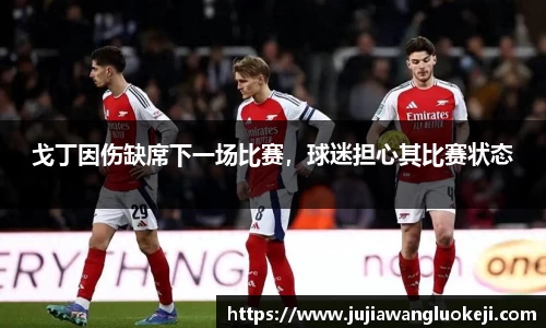 戈丁因伤缺席下一场比赛，球迷担心其比赛状态